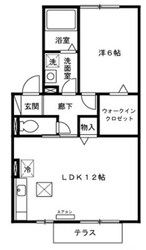 オリーブガーデン C棟の物件間取画像